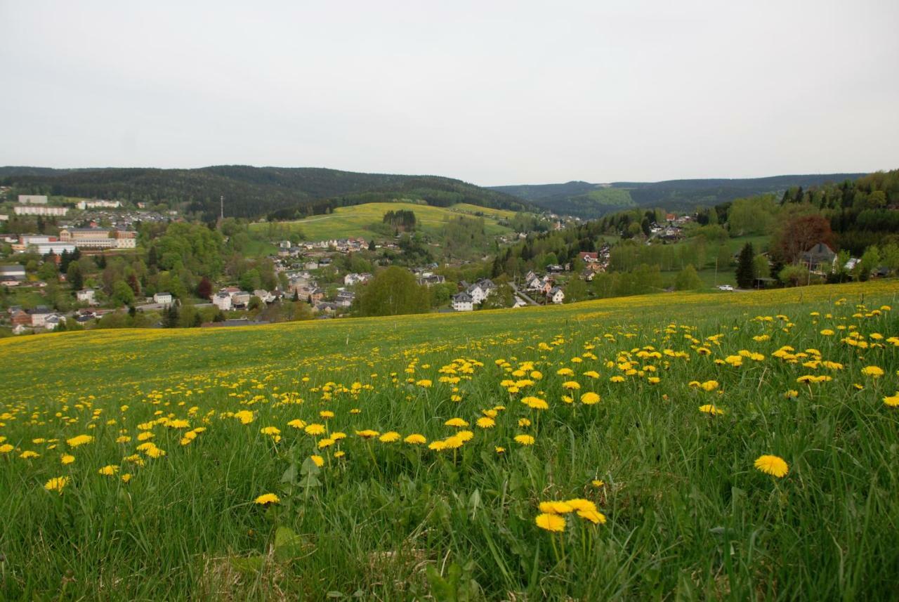 Ferienwohnung Koernerberg Клінґенталь Екстер'єр фото