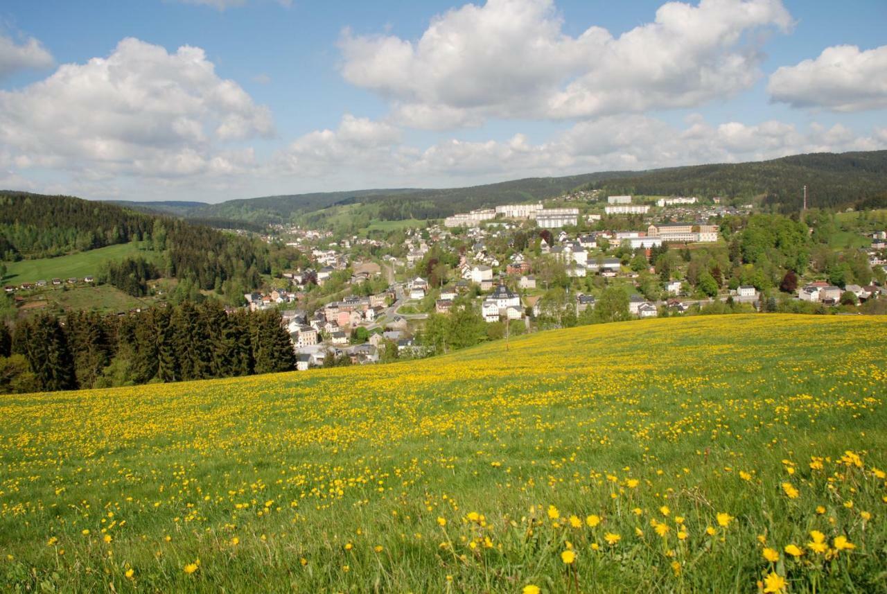 Ferienwohnung Koernerberg Клінґенталь Екстер'єр фото